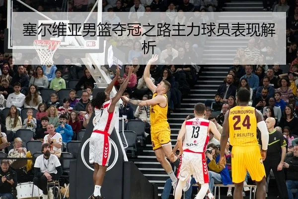 塞尔维亚男篮夺冠之路主力球员表现解析 | Yamei